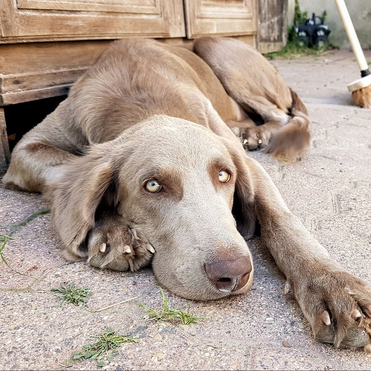 Portrait de notre agent de sécurité